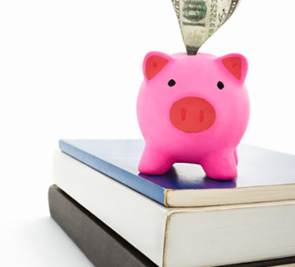 pig on books about how much editing a manuscript costs